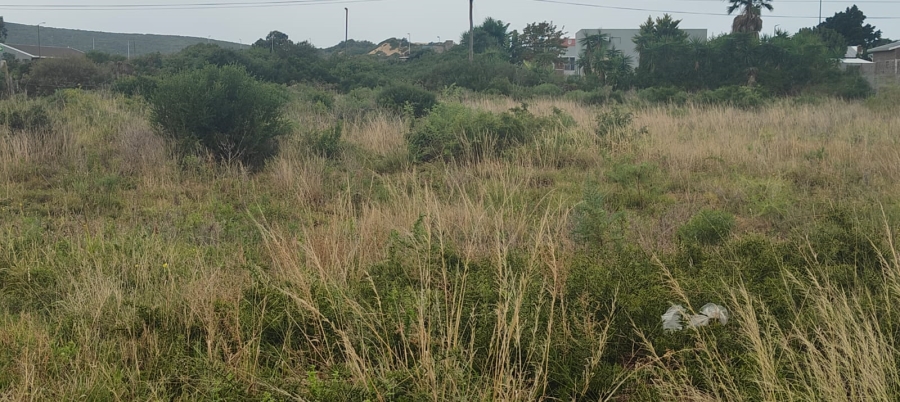 0 Bedroom Property for Sale in Colchester Eastern Cape